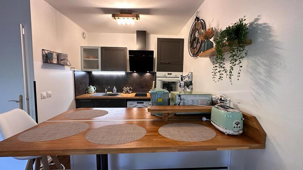 Apartment T2 Rez De Jardin - Disneyland Paris 6 Min